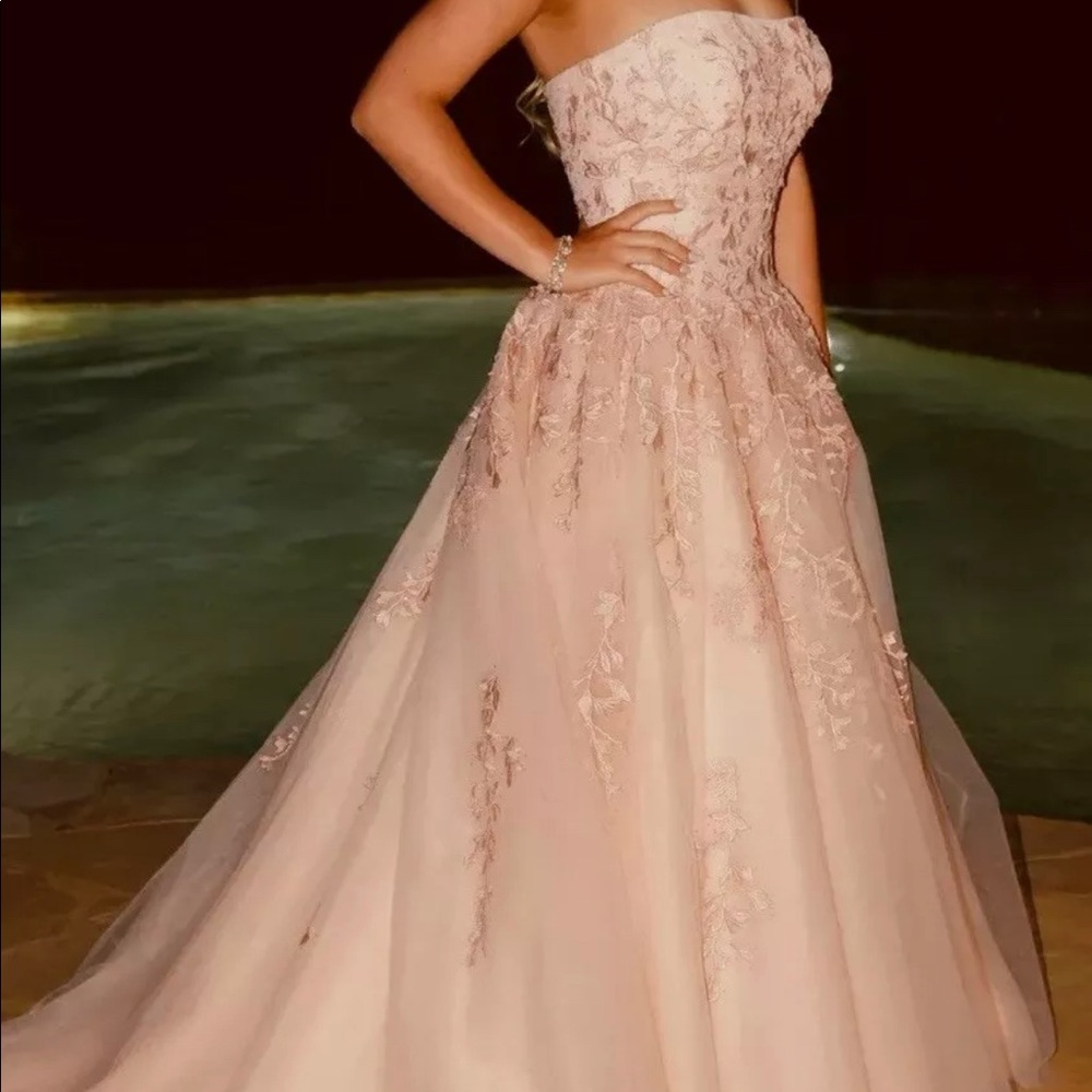 Sherri hill pink ballgown